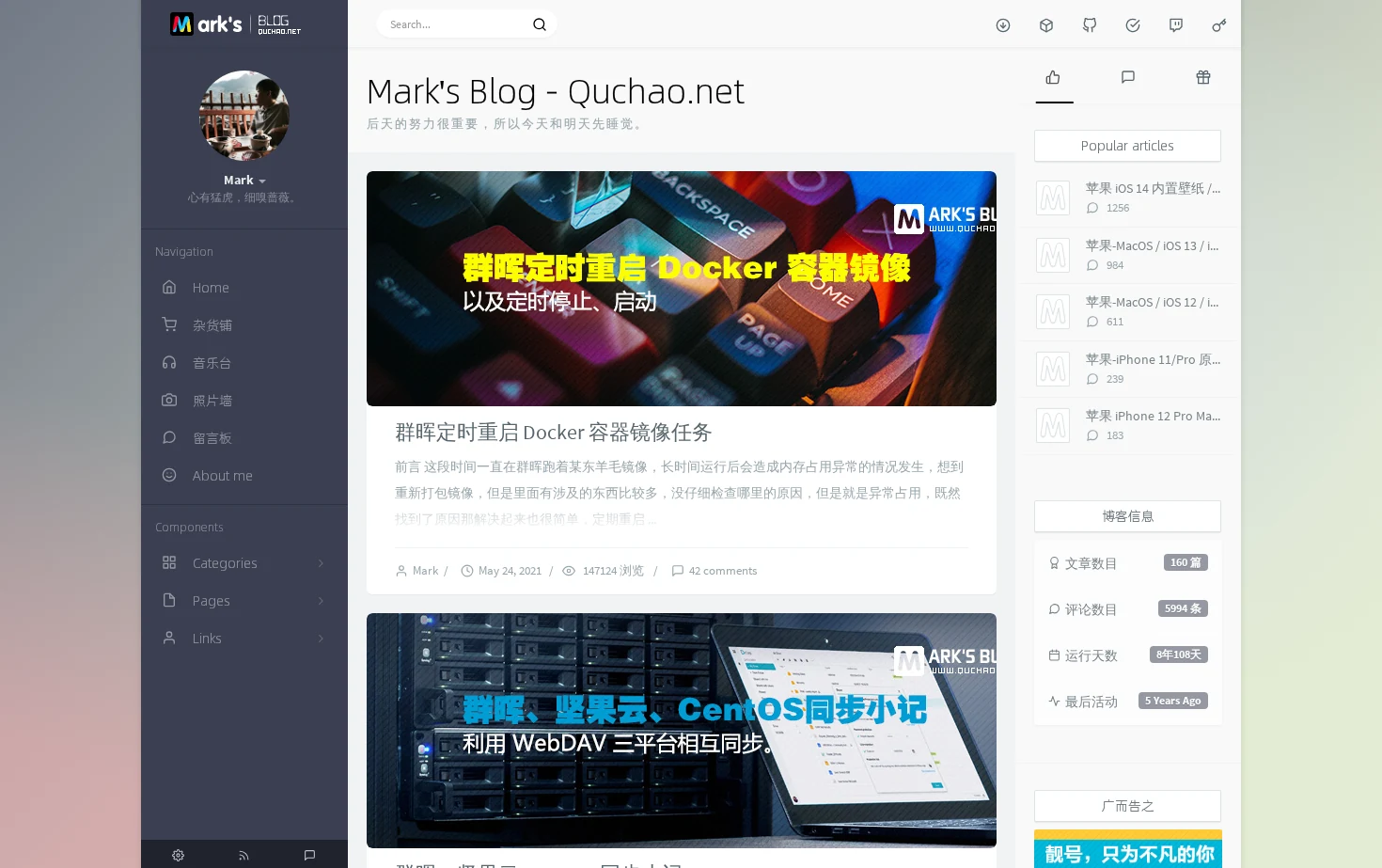 Mark's Blog 页面快照
